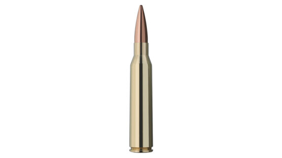 RWS .338 Lapua Mag. TARGET ELITE PLUS 19,4g/300 gr.