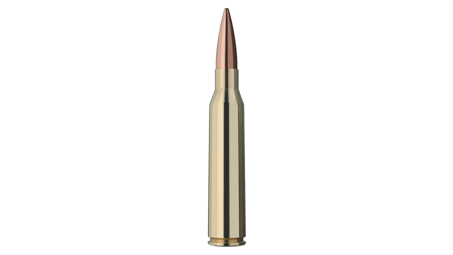 2405120-RWS-338-Lapua-Mag-Target-Elite-Plus-19-4g-single-cartridge-side-01-928Wx522H